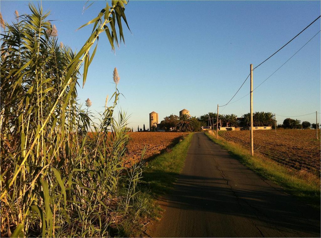 B&B Corte Degli Struzzi ペーシャ・ロマーナ エクステリア 写真